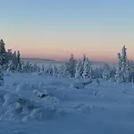 Nyaraló Metsaelae *