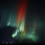 Metsaelae * Kuusamo