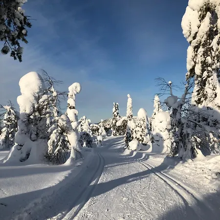 Metsälä Loma-asunnot *