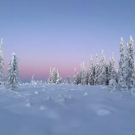 Ferienhaus Metsaelae *