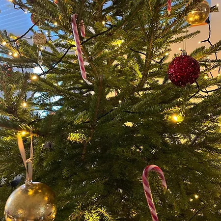 Metsaelae Ferienhaus