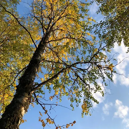 بيت للعطل Metsaelae