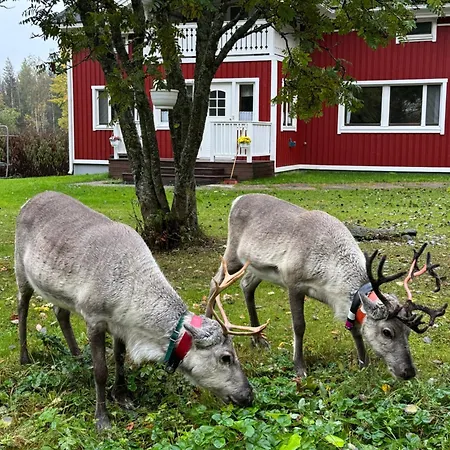 Ferienhaus Metsaelae *