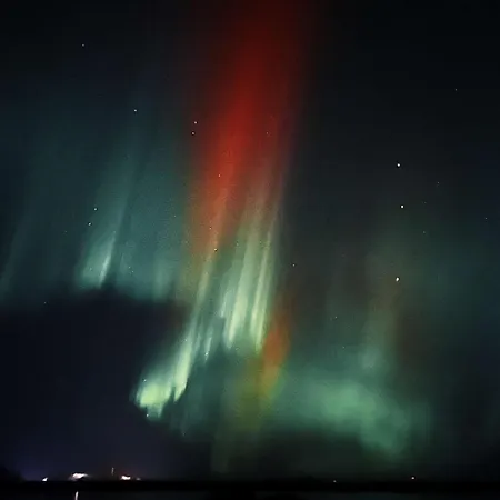 Metsaelae * Kuusamo