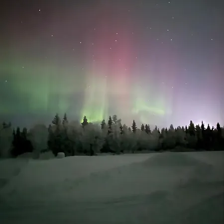 Metsaelae Ferienhaus Kuusamo