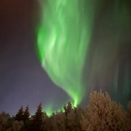 بيت للعطل Metsaelae كوسامْوُ